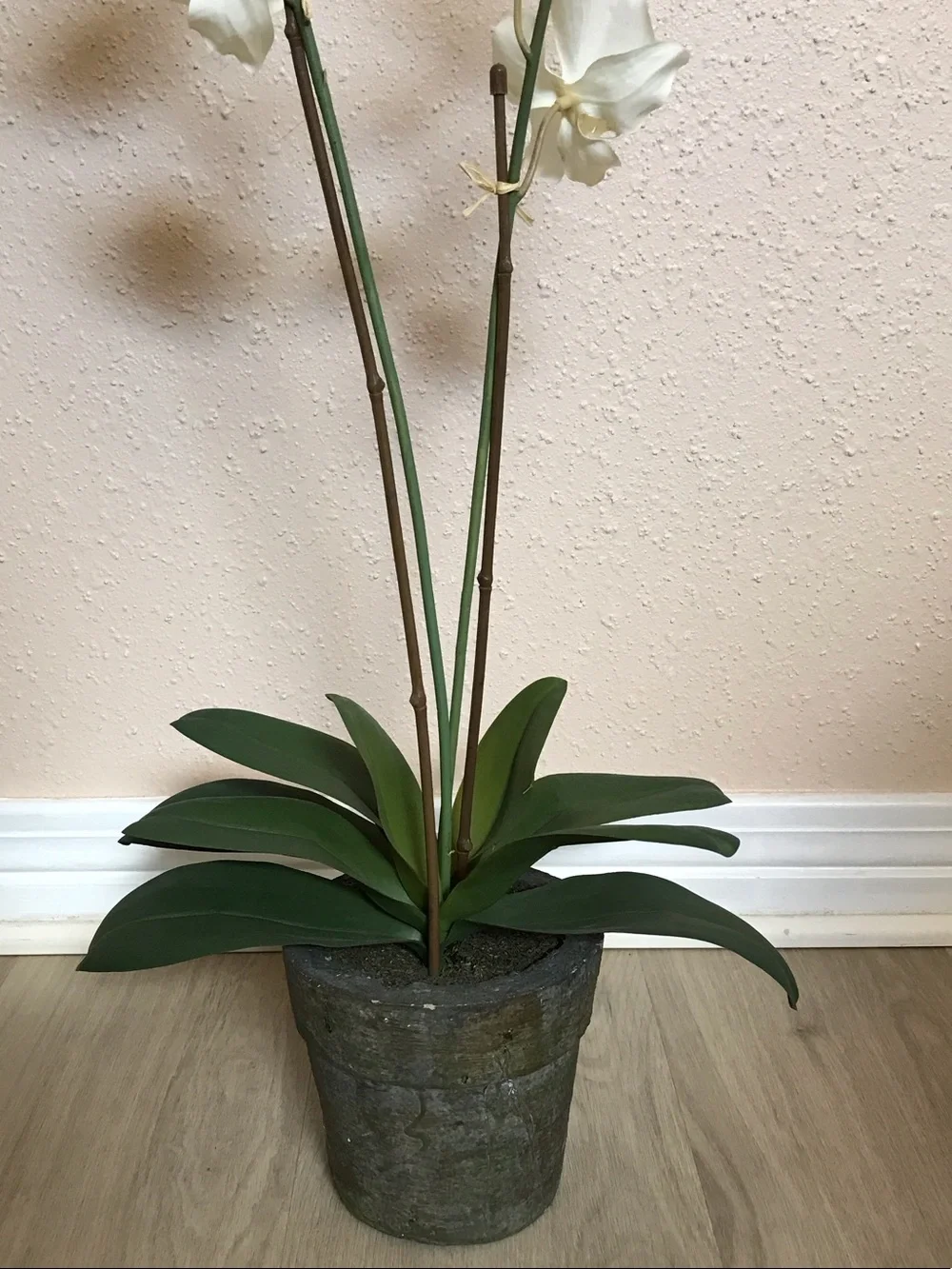 Artificial White Orchid Stem in Gray Pot - Home Accents